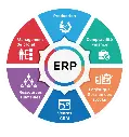 ERP and CRM Software
